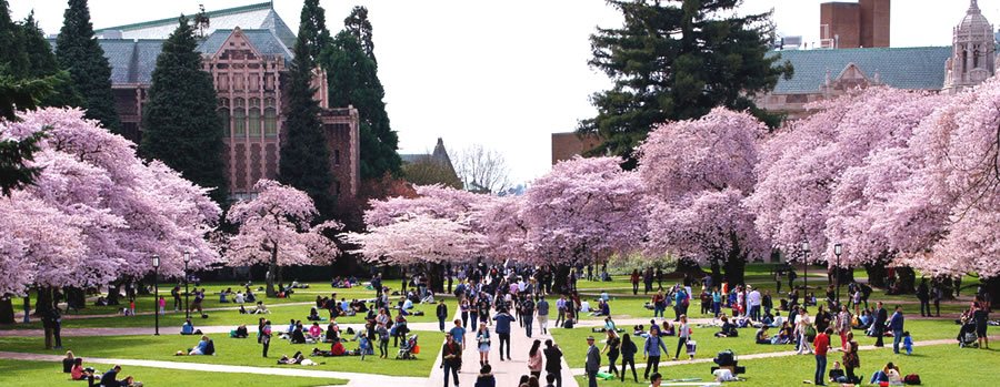 University of washington graduate programs